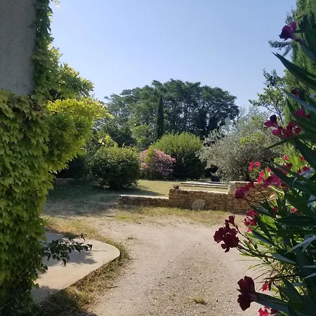 Rose Antique Holiday home Valreas